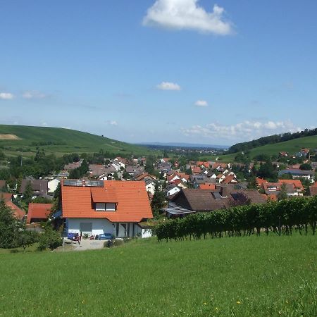 Ferienwohnung Toska Pfaffenweiler Kültér fotó